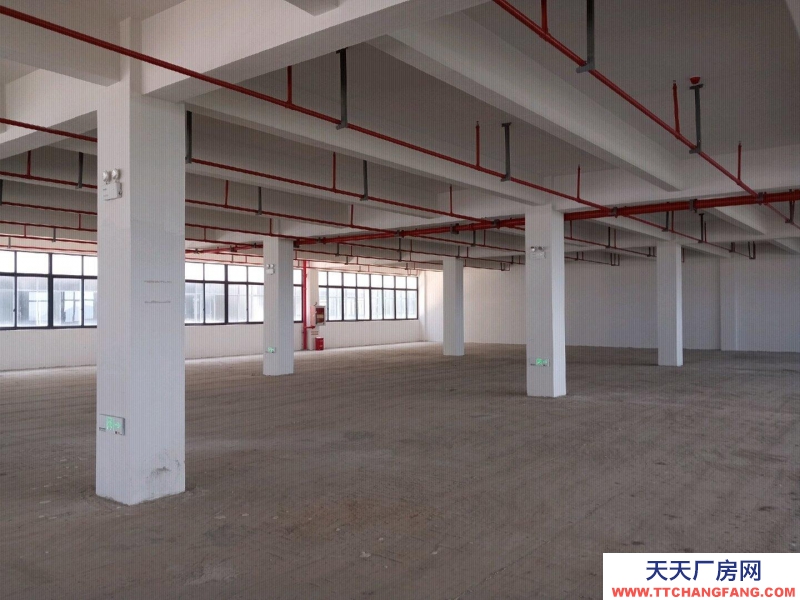 舟山市普陀(出租) 开发商直租全新标准现厂房500㎡起环境好交通便利  食糖