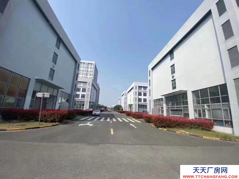 舟山市普陀(出租) 园区直租小面积厂房500平起可环评有政策扶持  豆制品