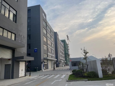 舟山市普陀(出租) 符合定位的企业，高可减免3年租金    糕点图1