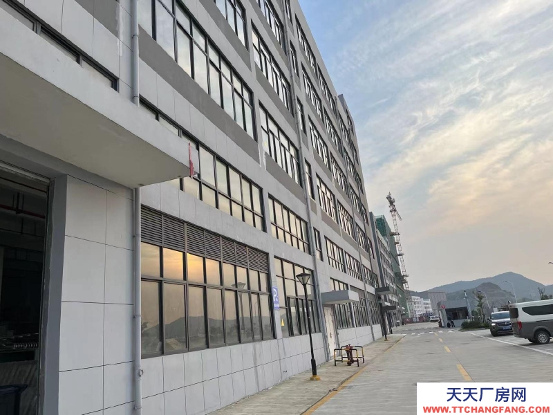 舟山市普陀(出租) 符合定位的企业，高可减免3年租金    糕点