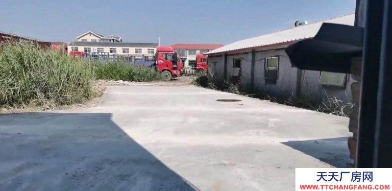沧州 沧县 (出租) 沧州东外环经八路旁边