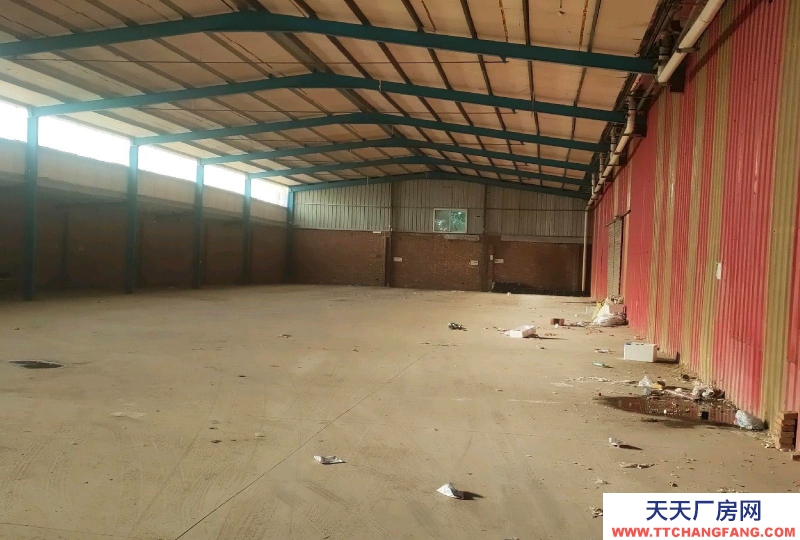 沧州 沧县 (出租) 307道边道好走水电齐全