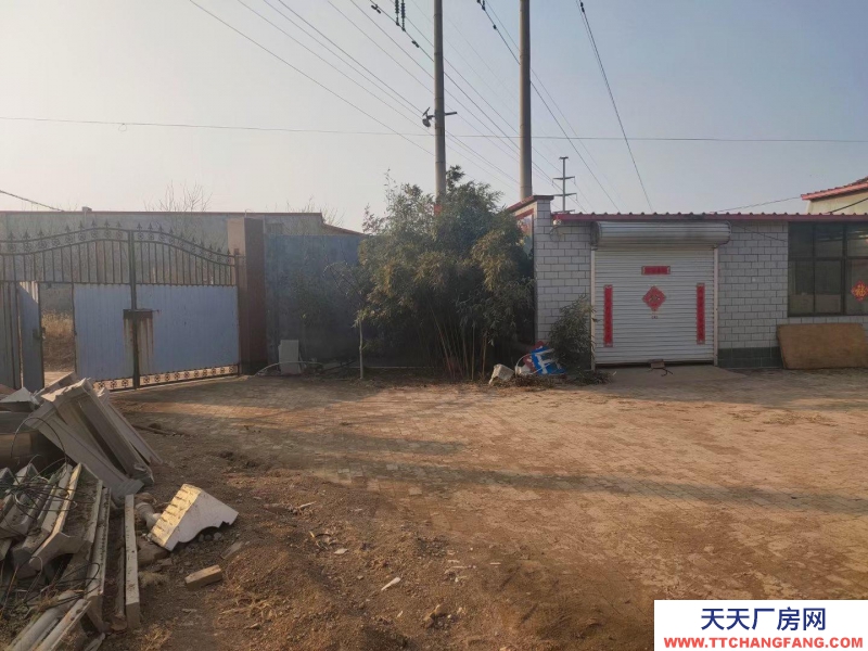 沧州 沧县 (出租) 307道边道好走水电齐全