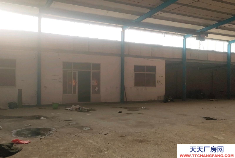 沧州 沧县 (出租) 307道边道好走水电齐全