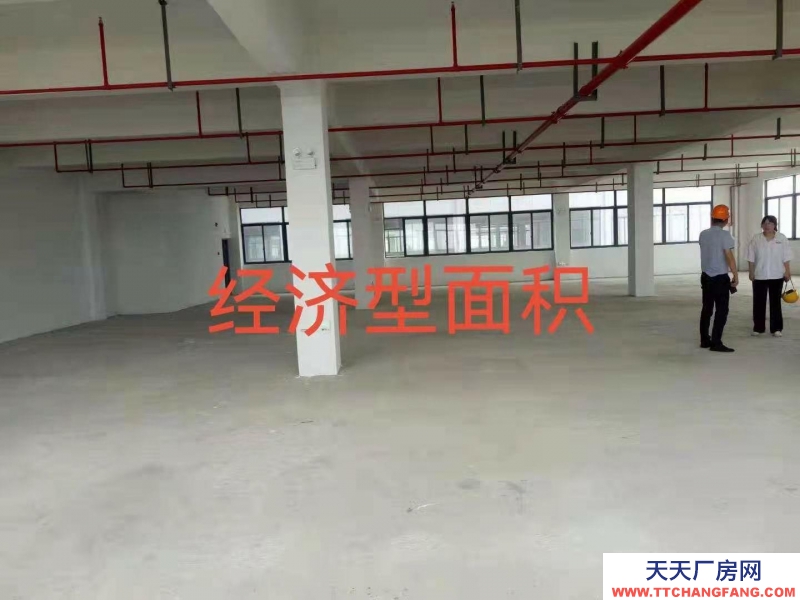 舟山市普陀(出租) 用途广泛，可做仓库厂房，环境好，交通便利，环保无忧   纺织，服装