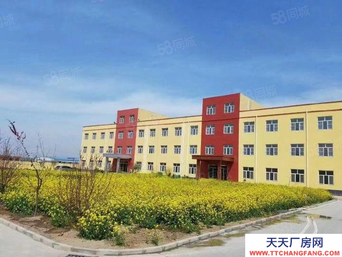 沧州 献县预制调理肉制品厂房 (出租) 证齐全献县垒头乡东固路6300平办公楼2600平