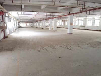 福州市马尾水产制品厂房  招商部直租无中介费，马尾中心位置，交通便利图2