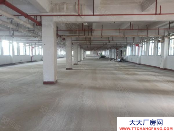 福州市马尾机加工厂房 海峡高新双创产业园，招商部直租免中介费