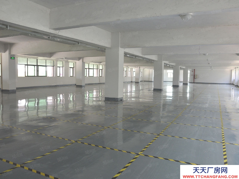 (出租) 广州白云高标7万方坡道库，仓库招租，高速附近，物流园仓库