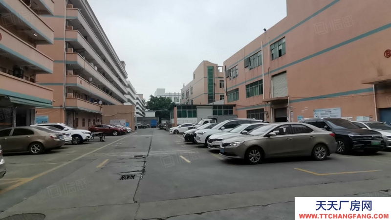 (出租) 广州白云均禾厂房仓库10000方300起全新地坪漆证件齐全五金机械仓库