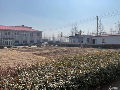 沧州 南皮蔬菜制品厂房(出售) 占地7992平米，建筑面积2800平米。图2