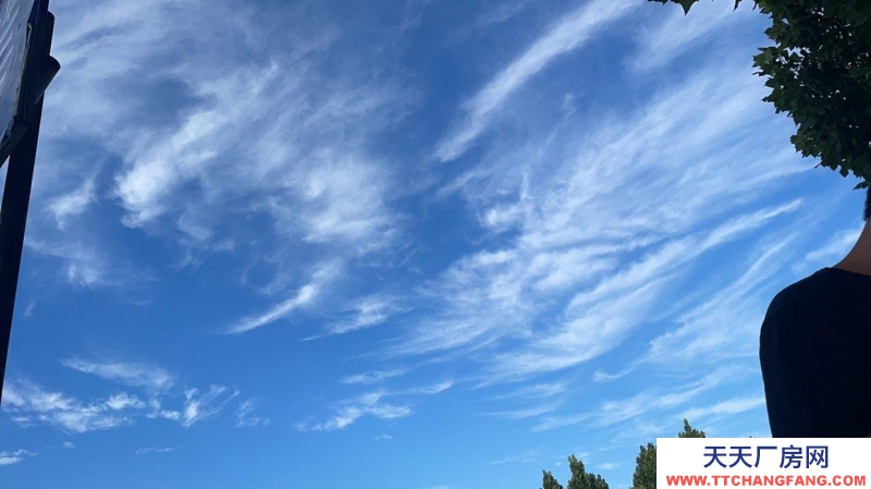 沧州 肃宁水产制品厂房(出租) 地理位置优越交通便利价格面议