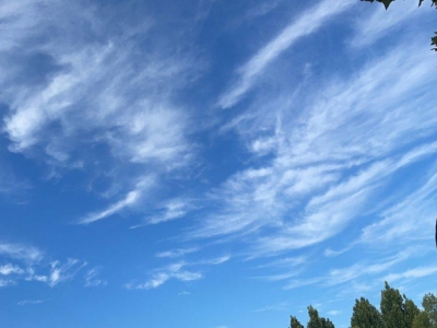 沧州 肃宁水产制品厂房(出租) 地理位置优越交通便利价格面议图1