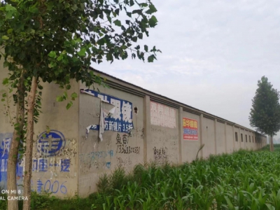 沧州 肃宁(出租) 出租冷加工糕点厂房 非诚勿扰 面议图2