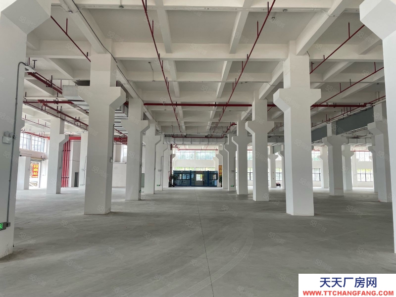 (出租) 广州白云新建20000平正规工业厂房招租红本证件雨污分流可办环评适合五金