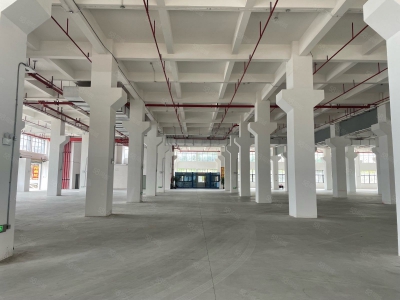(出租) 广州白云新建20000平正规工业厂房招租红本证件雨污分流可办环评适合五金图1