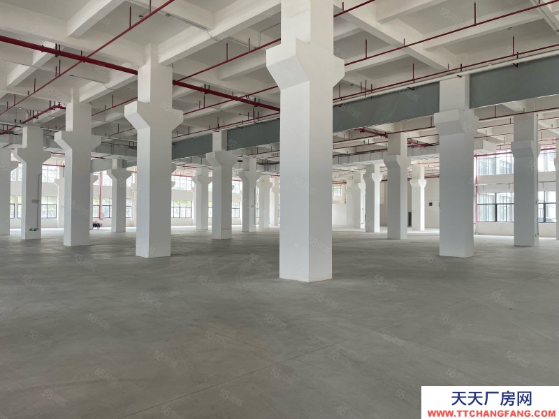 (出租) 广州白云新建20000平正规工业厂房招租红本证件雨污分流可办环评适合五金