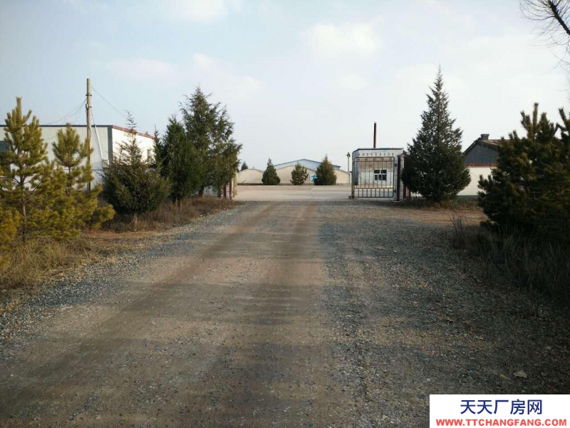 (出租) 出租伊金霍洛旗新街镇210国道178公里正对面