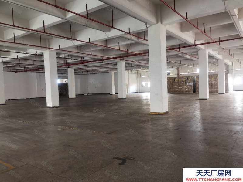 (出租) 广州花都机场边48600方高台仓可分租证件齐全丙二消防带喷淋可做物流