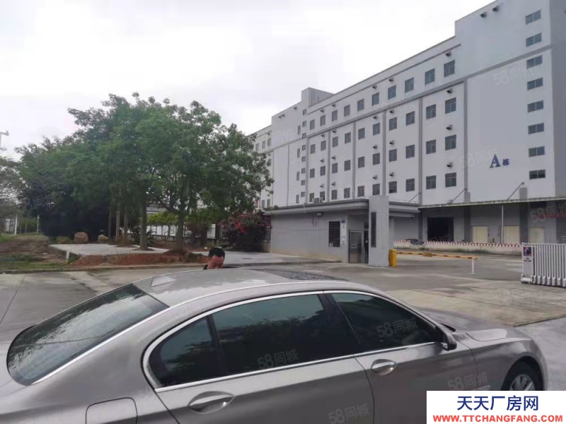 (出租) 广州花都低价高标仓出租丙一级消防物流仓库