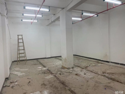 (出租) 广州越秀东风东路国有资产出租物资仓库图1