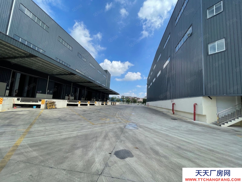 (出租) 广州增城开发区丙二类消防高标准物流仓库
