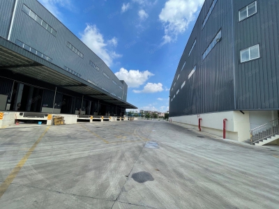 (出租) 广州增城开发区丙二类消防高标准物流仓库图1