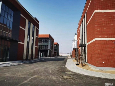 沧州 任丘水产制品厂房(出售) 政府央企合作 重点开发区 大产权 可贷款 可环评图3