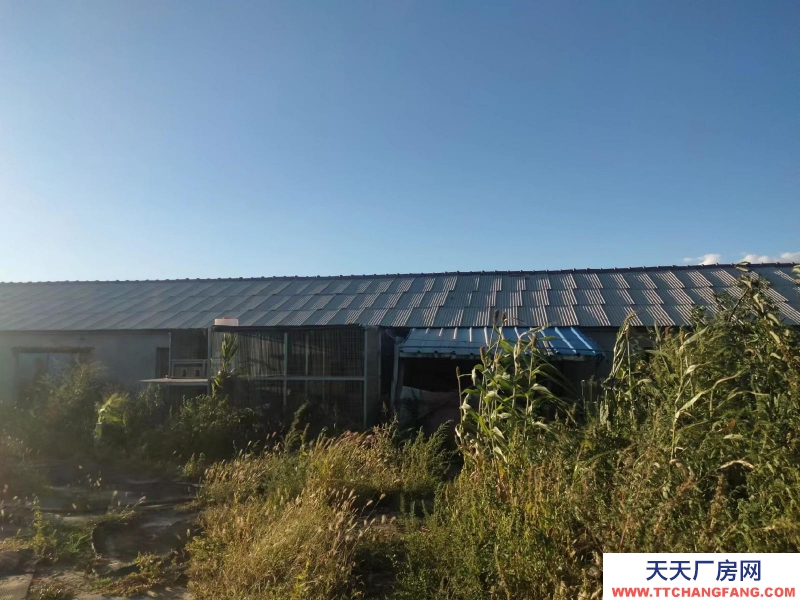 (出租)通辽 3000千平大院出租出售