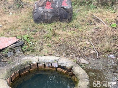 岭东出售养殖场，环境优美，空气清新图1
