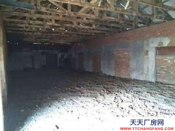 集贤130平仓库出租福利桥头