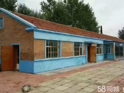 萨尔图自家小院精心修饰急用钱出售，自家小院精心打理急用钱出售图1