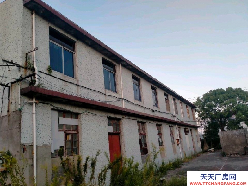 舟山市岱山(出租) 楼上4百平米通间也可隔断，楼下4百平米，