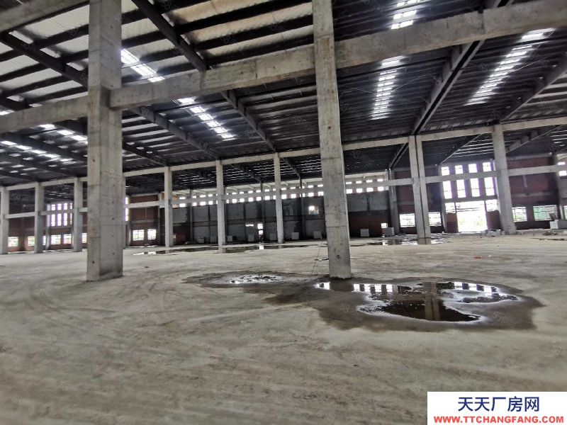 台州市椒江(出租) 单门独院 出租滨海工业区(一楼2000平 高度11米)   饼干