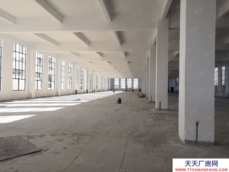 (出租) 常州天宁区雕庄中吴大道3600方单层厂房出租 可分租可做休闲食品