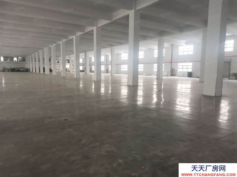 (出租) 常州天宁区雕庄中吴大道3600方单层厂房出租 可分租可做休闲食品