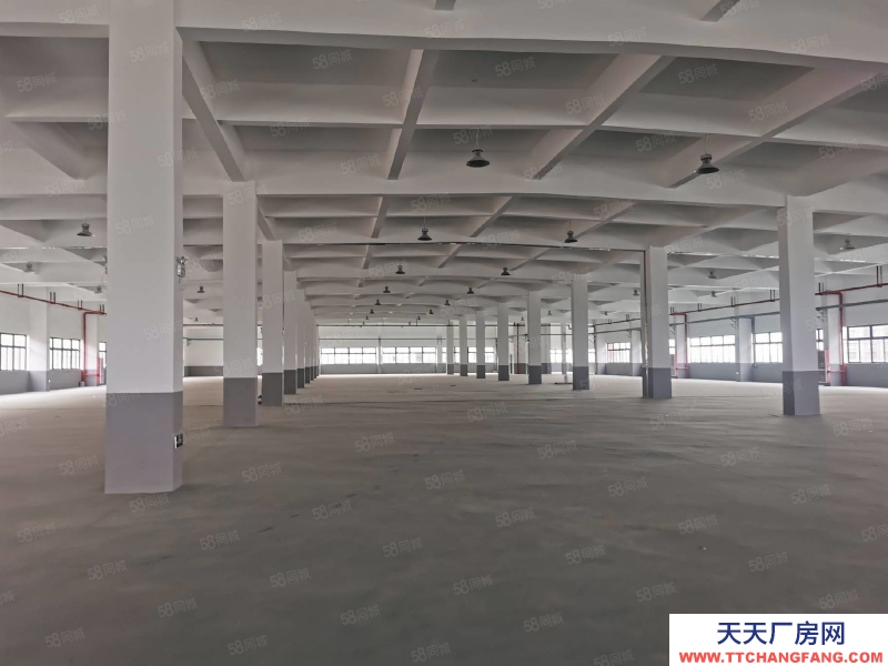台州市椒江(出租) 单门独院出租滨海工业园区（一楼1200 平高度7.5米）  蛋制品