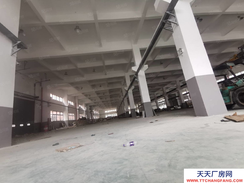 台州市椒江(出租) 单门独院出租滨海工业园区（一楼1200 平高度7.5米）  蛋制品