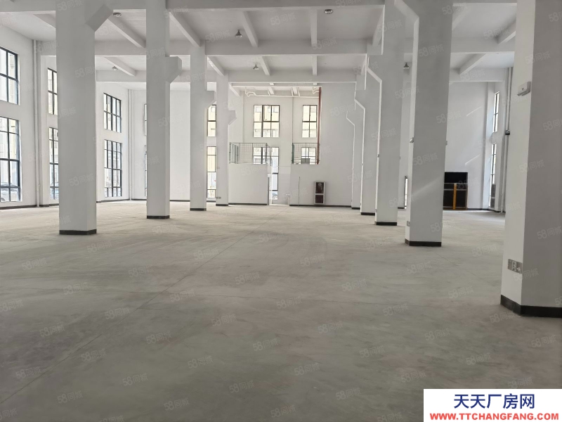 台州市椒江(出租) 急租精装修厂房枫南路全新独栋15层，无行业要求形象好
