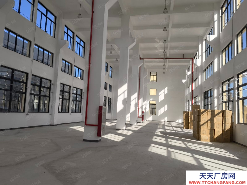 台州市椒江(出租) 急租精装修厂房枫南路全新独栋15层，无行业要求形象好