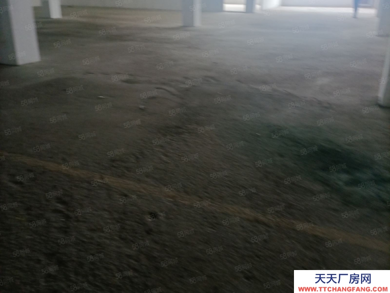 台州市椒江(出租) 出租洪家仓库二楼1300平，混泥土结构，可分割，价格便宜