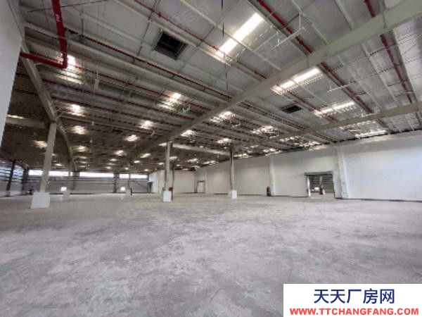 台州市椒江(出租) 出租集聚区全新标准物流仓库有高台大车进出方便