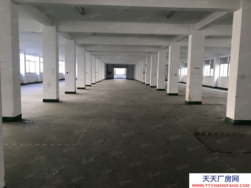 台州市椒江(出租) 椒光文创园3楼厂房，可用于办公生产仓储等，位置优，周边配套齐