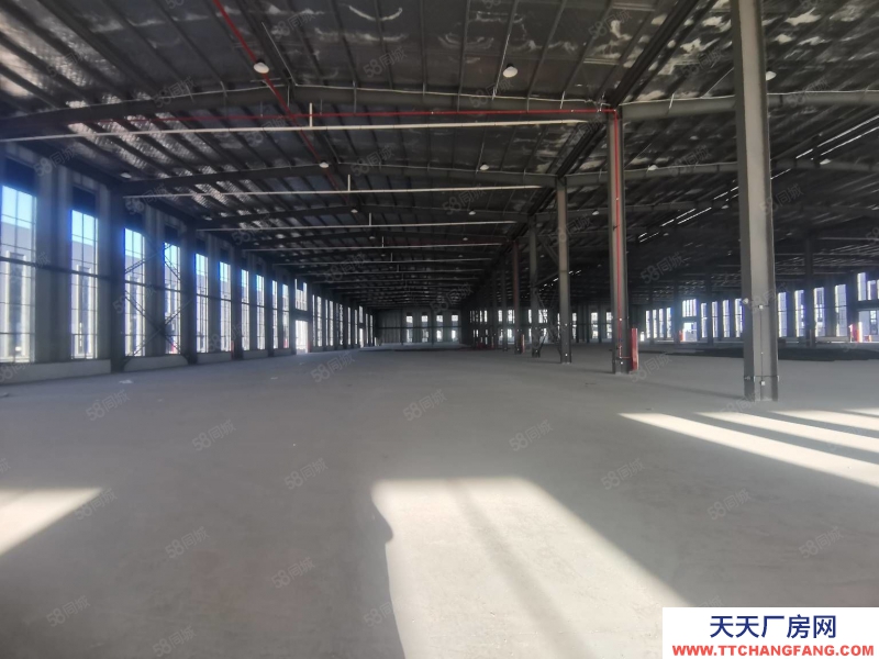台州市椒江(出租) 出租滨海 5000平仓库 只适合仓库 国企内部