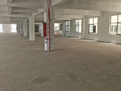 (出租) 常州新北新建薛家标准厂房2楼4500平带3吨货梯急出租适合口罩制药图2