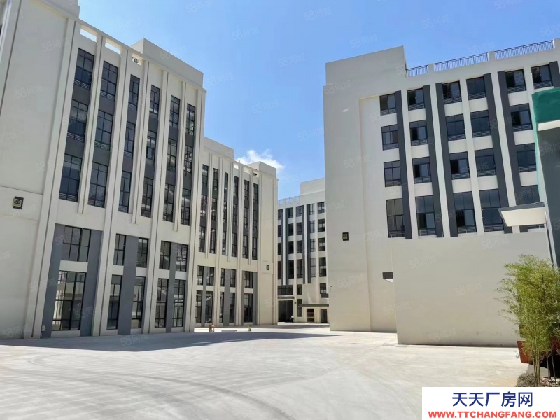 台州市椒江(出售) 出售 聚星科创园，全新精装修4000平，手续清爽，马上可用   电机，半导体