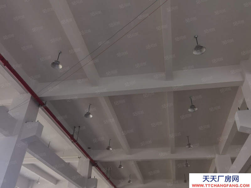 台州市黄岩(出租) 出租，黄岩区十里铺楼上2000平 蜂产品