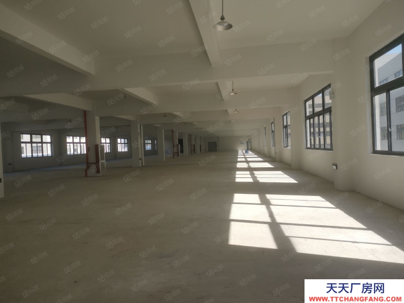 台州市黄岩(出租) 出租澄江工业区仓库1000平方高4米12元平方可分割500