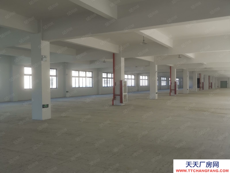 台州市黄岩(出租) 出租江口工业区独门独户2200平方13元平集装箱可进