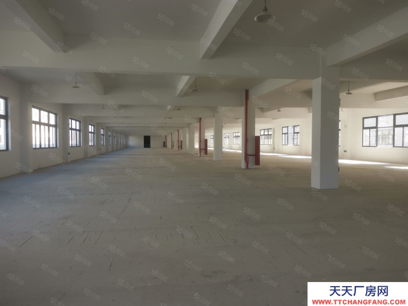 台州市黄岩(出租) 岀租江口工业区仓库600平13元平方大车可进